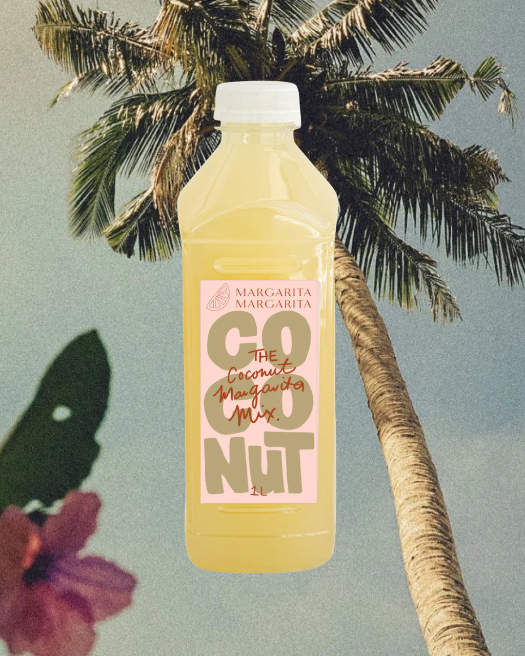 Margarita Margarita The Coconut Margarita Mix
